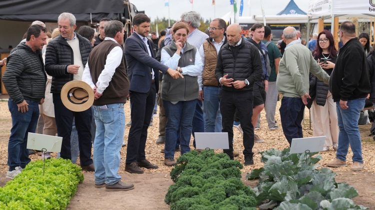 Pullaro: “Santa Fe tiene todo para poder crecer: el campo, la industria y el desarrollo del sistema productivo”